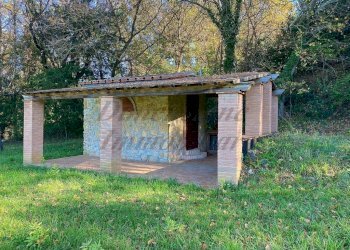 photo_5992601258193698432_y (FILEminimizer).jpg - Terreno agricolo Via Aiuccia 3, Montescudaio - foto 6