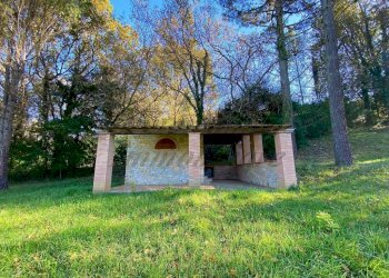 photo_5992601258193698433_y (FILEminimizer).jpg - Terreno agricolo Via Aiuccia 3, Montescudaio - foto 7