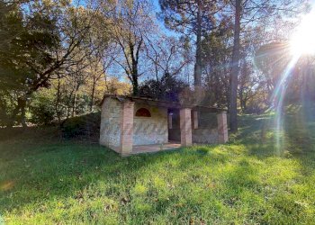 photo_5992601258193698434_y (FILEminimizer).jpg - Terreno agricolo Via Aiuccia 3, Montescudaio - foto 8