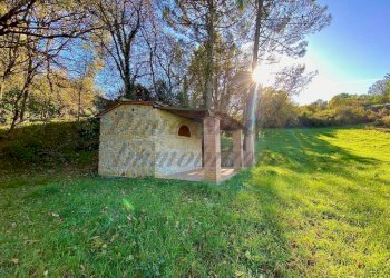 photo_5992601258193698435_y (FILEminimizer).jpg - Terreno agricolo Via Aiuccia 3, Montescudaio - foto 9