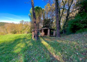 photo_5992601258193698425_y (FILEminimizer).jpg - Terreno agricolo Via Aiuccia 3, Montescudaio - foto 11