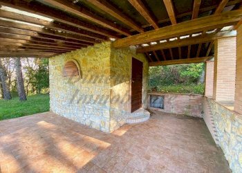 photo_5992601258193698439_y (FILEminimizer).jpg - Terreno agricolo Via Aiuccia 3, Montescudaio - foto 12