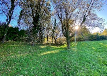 photo_5992601258193698427_y (FILEminimizer).jpg - Terreno agricolo Via Aiuccia 3, Montescudaio - foto 16