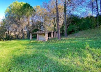photo_2023-11-28_11-08-13.jpg - Terreno agricolo Via Aiuccia 3, Montescudaio - foto 18