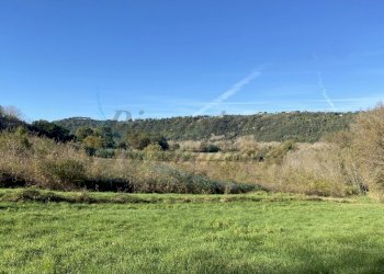 photo_5992601258193698442_y (FILEminimizer).jpg - Terreno agricolo Via Aiuccia 3, Montescudaio - foto 19