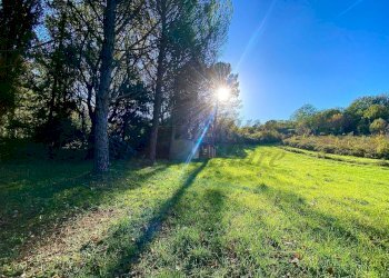 photo_5992601258193698423_y.jpg - Terreno agricolo Via Aiuccia 3, Montescudaio - foto 20