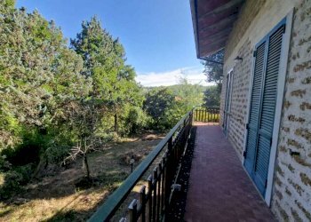 WhatsApp Image 2023-09-11 at 18.03.06 (1).jpeg - Villa Massa Martana - foto 7