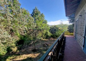 WhatsApp Image 2023-09-11 at 18.03.06 (4).jpeg - Villa Massa Martana - foto 9