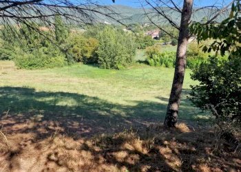 WhatsApp Image 2023-09-11 at 18.03.13 (1).jpeg - Villa Massa Martana - foto 11