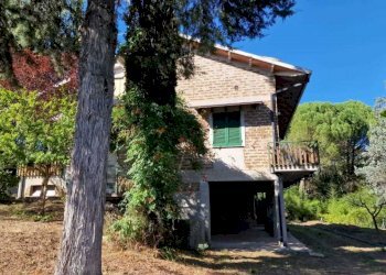 WhatsApp Image 2023-09-11 at 18.03.13 (3).jpeg - Villa Massa Martana - foto 12