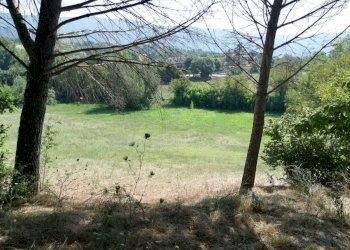 WhatsApp Image 2023-10-09 at 16.48.40.jpeg - Villa Massa Martana - foto 17