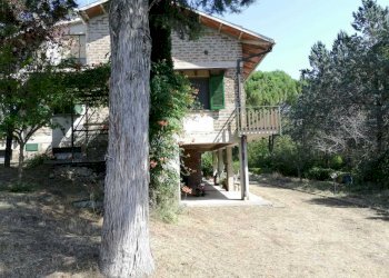 WhatsApp Image 2023-10-09 at 16.48.41.jpeg - Villa Massa Martana - foto 18