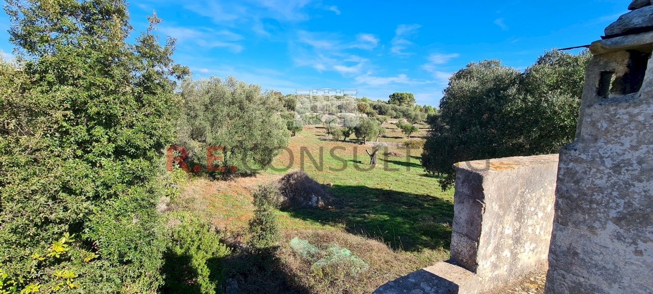 20231115_113608.jpg - Rustico Ceglie Messapica - foto 3