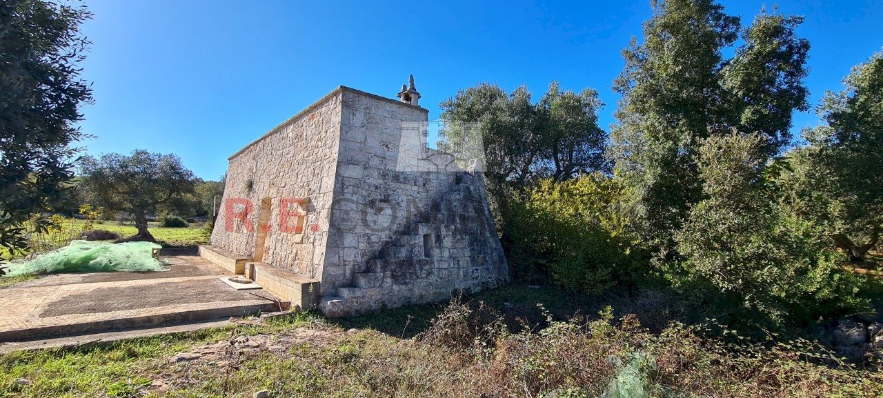 20231115_114015.jpg - Rustico Ceglie Messapica - foto 2