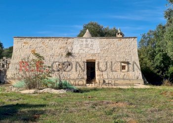 20231115_113307.jpg - Rustico Ceglie Messapica - foto 1