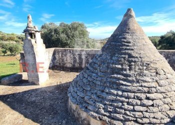 20231115_113556.jpg - Rustico Ceglie Messapica - foto 12