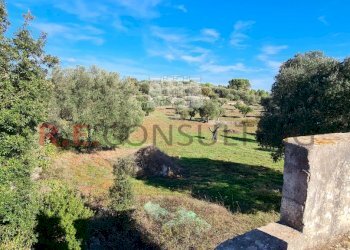 20231115_113608.jpg - Rustico Ceglie Messapica - foto 3