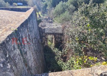 20231115_113634.jpg - Rustico Ceglie Messapica - foto 15