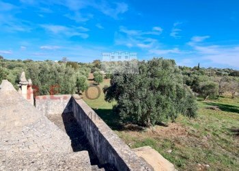 20231115_113731.jpg - Rustico Ceglie Messapica - foto 17