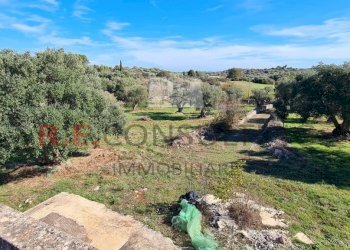 20231115_113738.jpg - Rustico Ceglie Messapica - foto 18