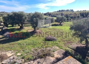 20231115_113741.jpg - Rustico Ceglie Messapica - foto 19