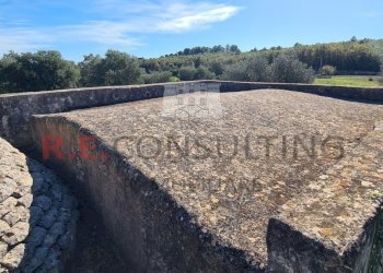 20231115_113800.jpg - Rustico Ceglie Messapica - foto 20