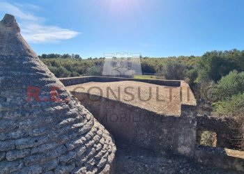 20231115_113808.jpg - Rustico Ceglie Messapica - foto 21