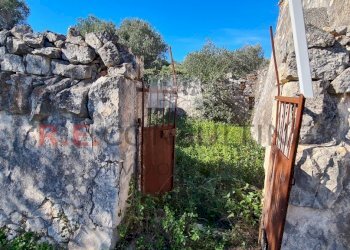 20231115_113853.jpg - Rustico Ceglie Messapica - foto 22