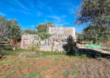 20231115_113920.jpg - Rustico Ceglie Messapica - foto 23