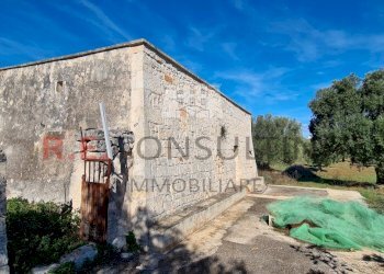 20231115_113945.jpg - Rustico Ceglie Messapica - foto 24