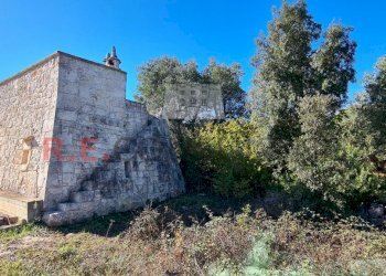 20231115_114013.jpg - Rustico Ceglie Messapica - foto 25