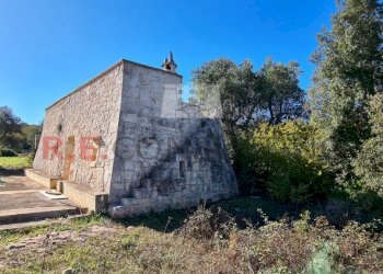 20231115_114015.jpg - Rustico Ceglie Messapica - foto 2