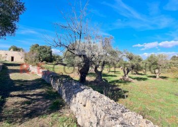 20231115_114128.jpg - Rustico Ceglie Messapica - foto 26