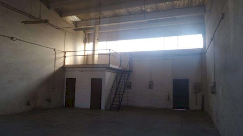 Capannone Soliera - foto 3