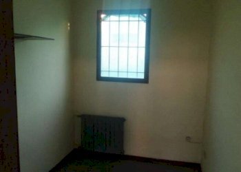 Shed Soliera - photo 6