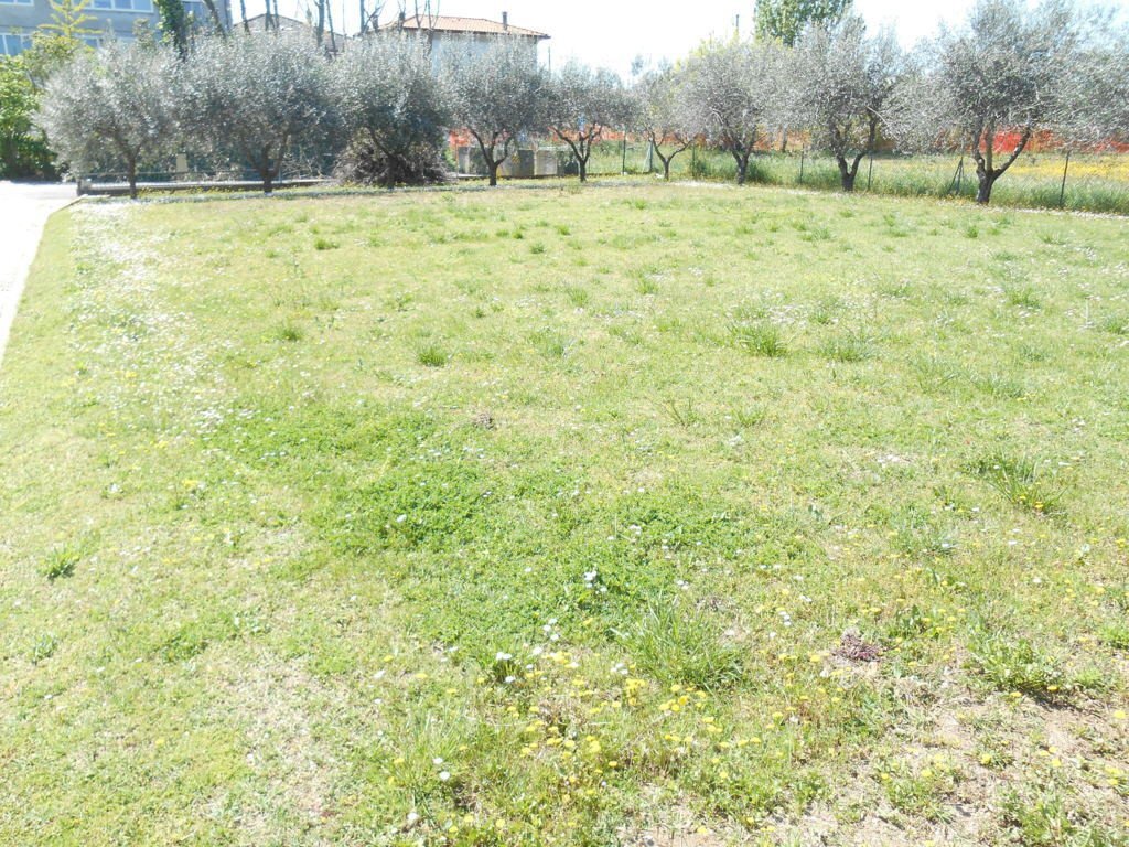 Terreno edificabile Santarcangelo di Romagna - foto 1