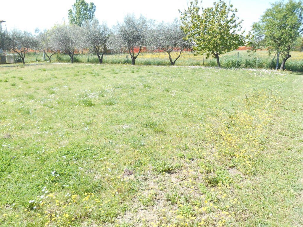 Terreno edificabile Santarcangelo di Romagna - foto 2