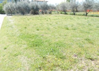 Terreno edificabile Santarcangelo di Romagna - foto 1