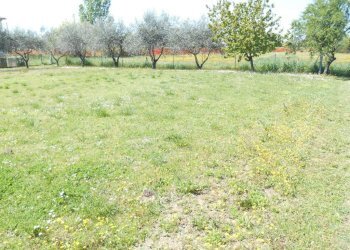 Terreno edificabile Santarcangelo di Romagna - foto 2