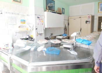 Shop Santarcangelo di Romagna - photo 4