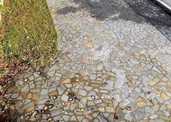 Ufficio Santarcangelo di Romagna - foto 7