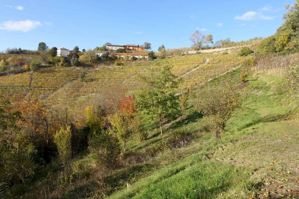 Terreno - Rustic Frazione Valdivilla, Santo Stefano Belbo - photo 3
