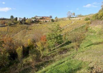 Terreno - Rustico Frazione Valdivilla, Santo Stefano Belbo - foto 15