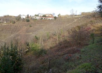 Terreno - Rustico Frazione Valdivilla, Santo Stefano Belbo - foto 23