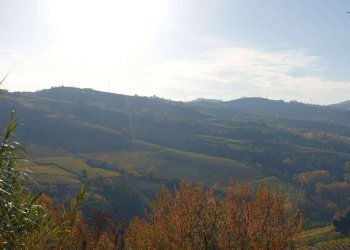 Vista - Rustico Frazione Valdivilla, Santo Stefano Belbo - foto 25