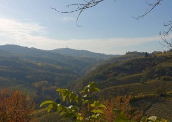 Vista - Rustico Frazione Valdivilla, Santo Stefano Belbo - foto 26