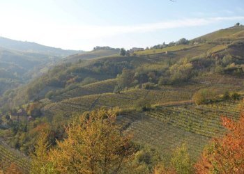 Terreno - Rustico Frazione Valdivilla, Santo Stefano Belbo - foto 27