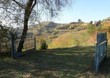 Terreno - Rustico Frazione Valdivilla, Santo Stefano Belbo - foto 28