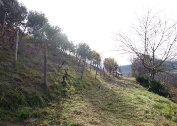 Terreno - Rustico Frazione Valdivilla, Santo Stefano Belbo - foto 31