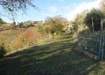 Terreno - Rustico Frazione Valdivilla, Santo Stefano Belbo - foto 32
